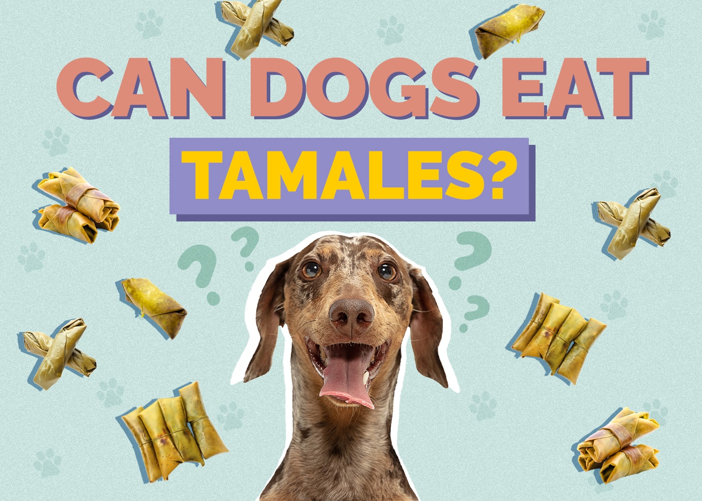 Can Dogs Eat Tamales