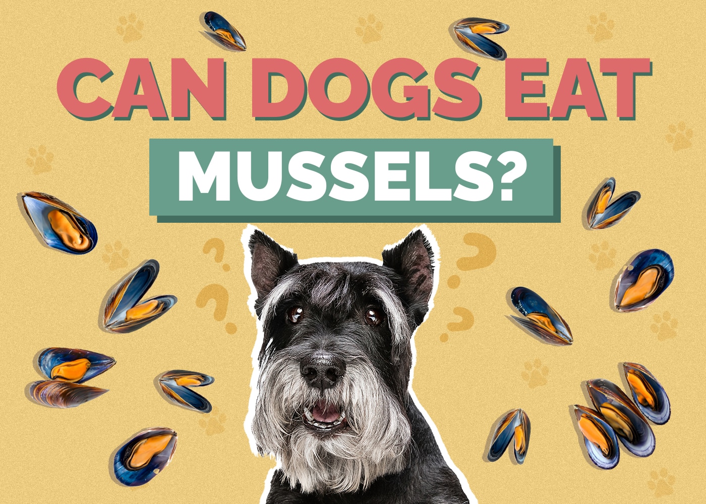 Can Dogs Eat Mussels? VetApproved Facts & FAQ Hepper