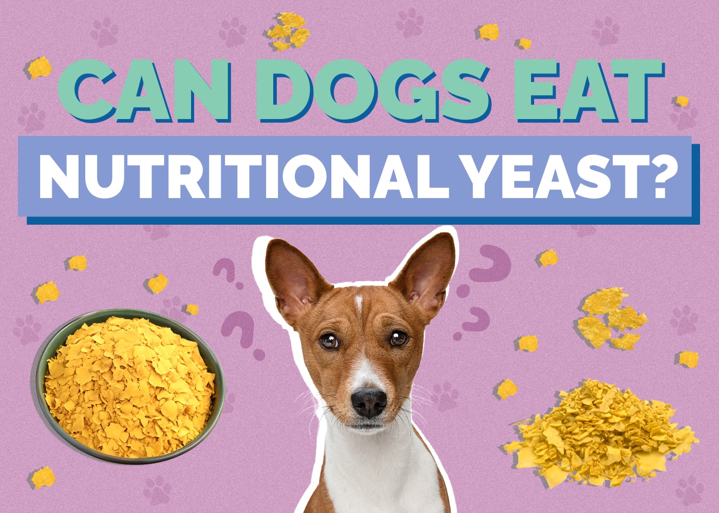 Can Dogs Eat Nutritional Yeast
