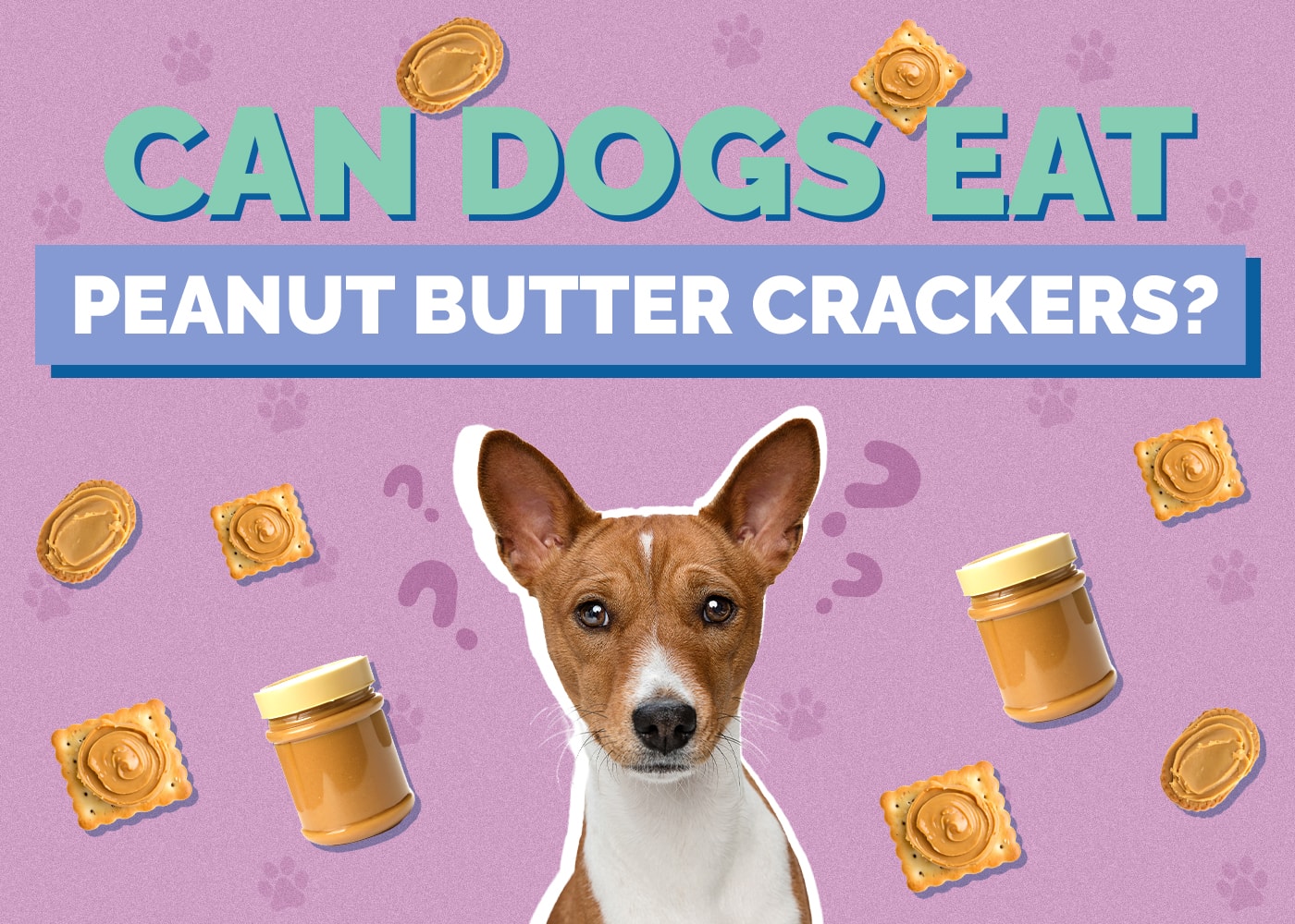 Can Dogs Eat Peanut Butter Crackers