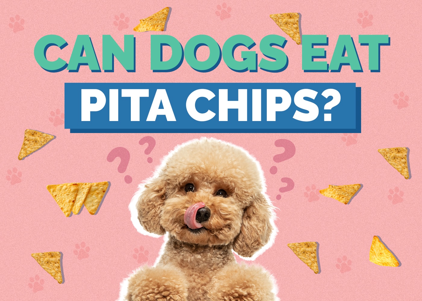 Can Dogs Eat Pita Chips