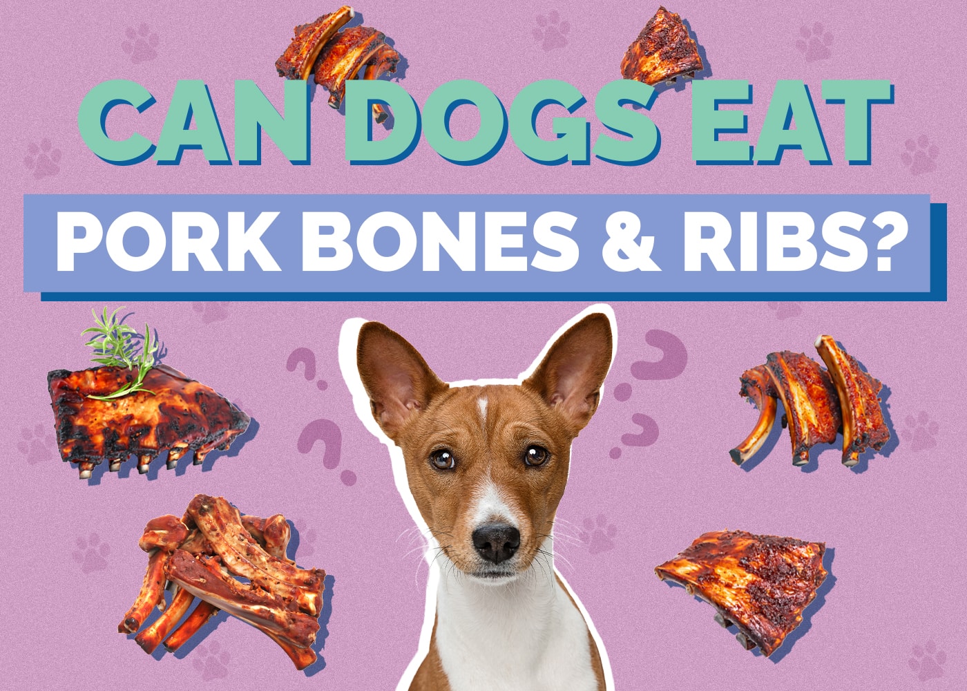 Can Dogs Eat Pork Bones & Ribs