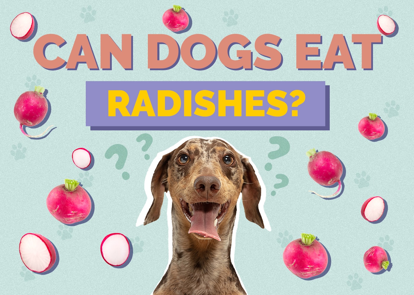 Can Dogs Eat Radishes