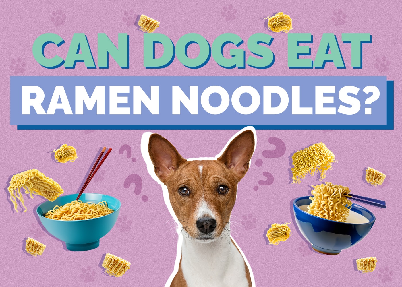 Can Dogs Eat Ramen Noodles