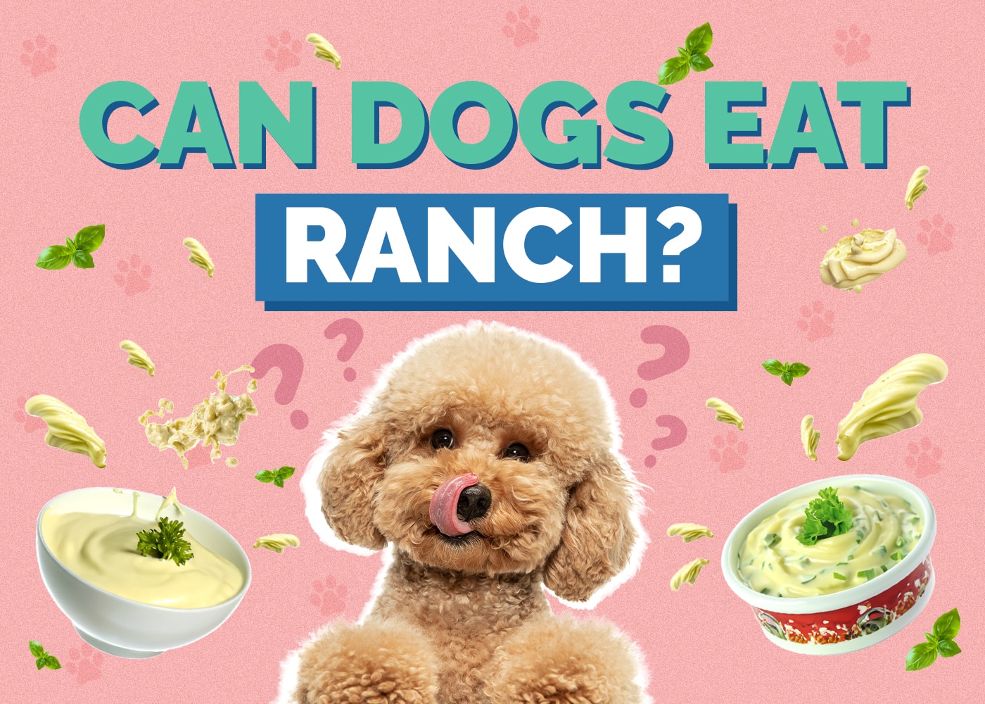 Can Dogs Eat Ranch