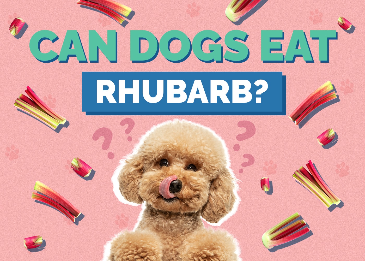 Can Dogs Have Rhubarb