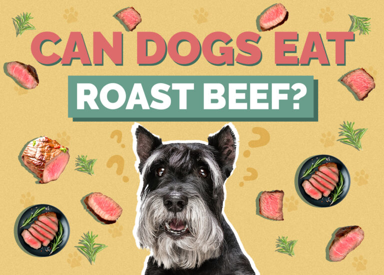 Can Dogs Eat Roast Beef? (Vet Reviewed Facts) Hepper