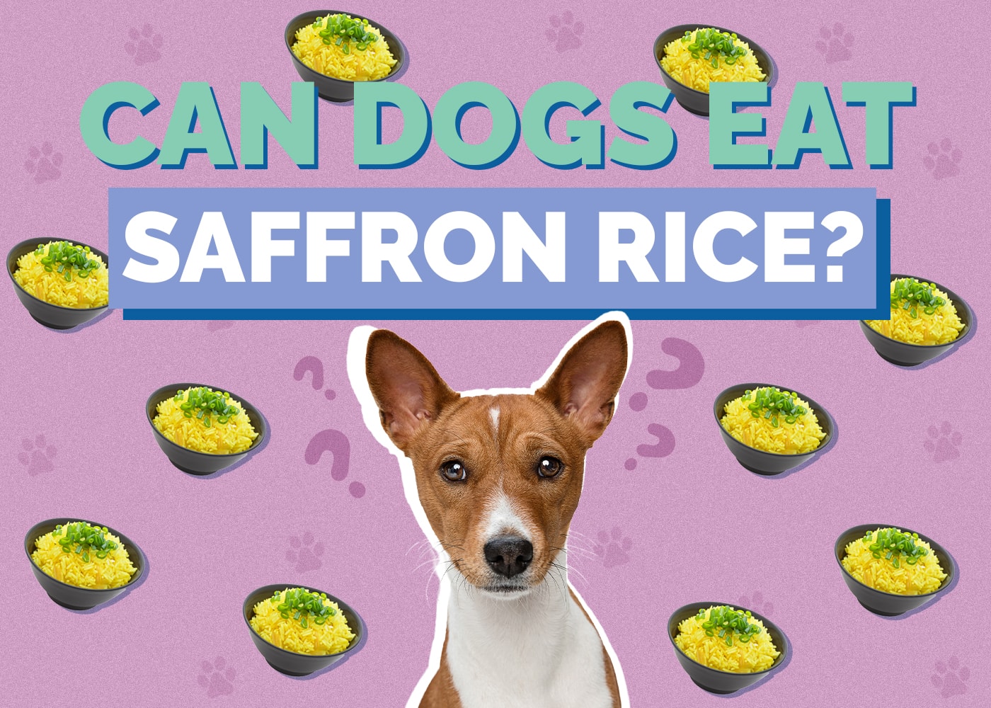 Can Dogs Eat Saffron Rice