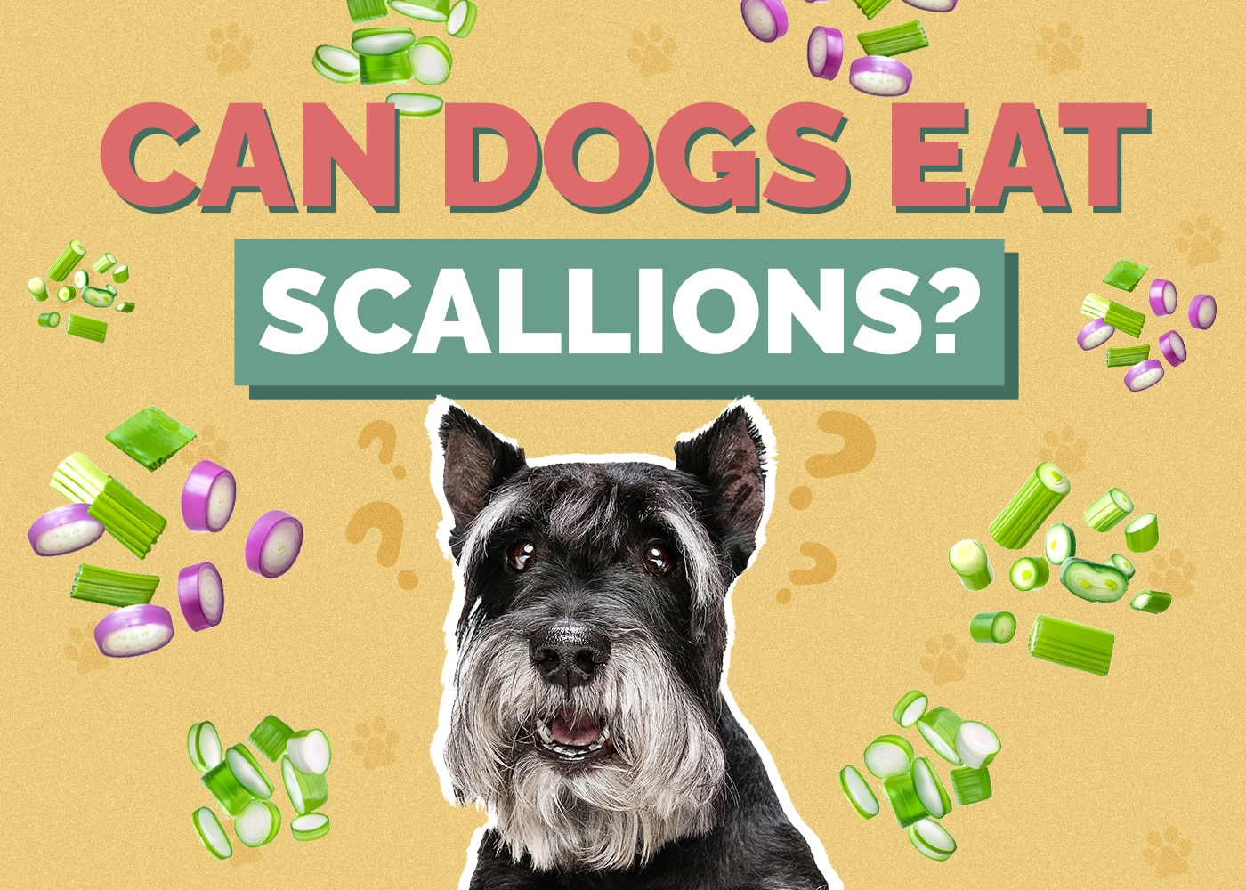 Can Dogs Eat Scallions