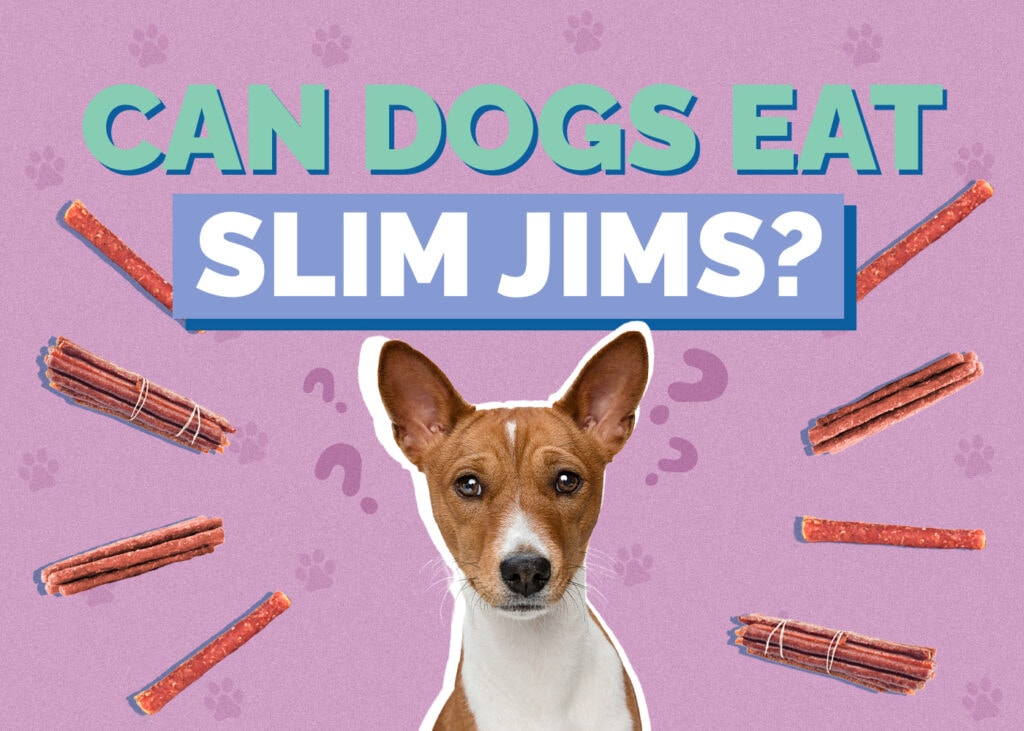 Can Dogs Eat Slim Jims