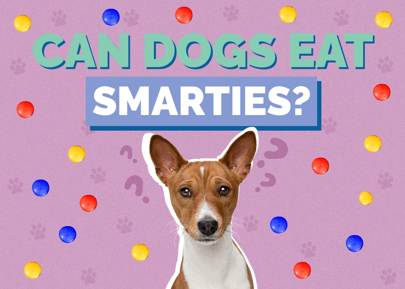Can Dogs Eat Smarties