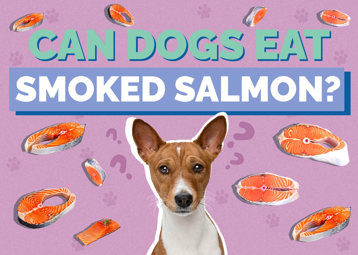 Can Dogs Eat Smoked Salmon