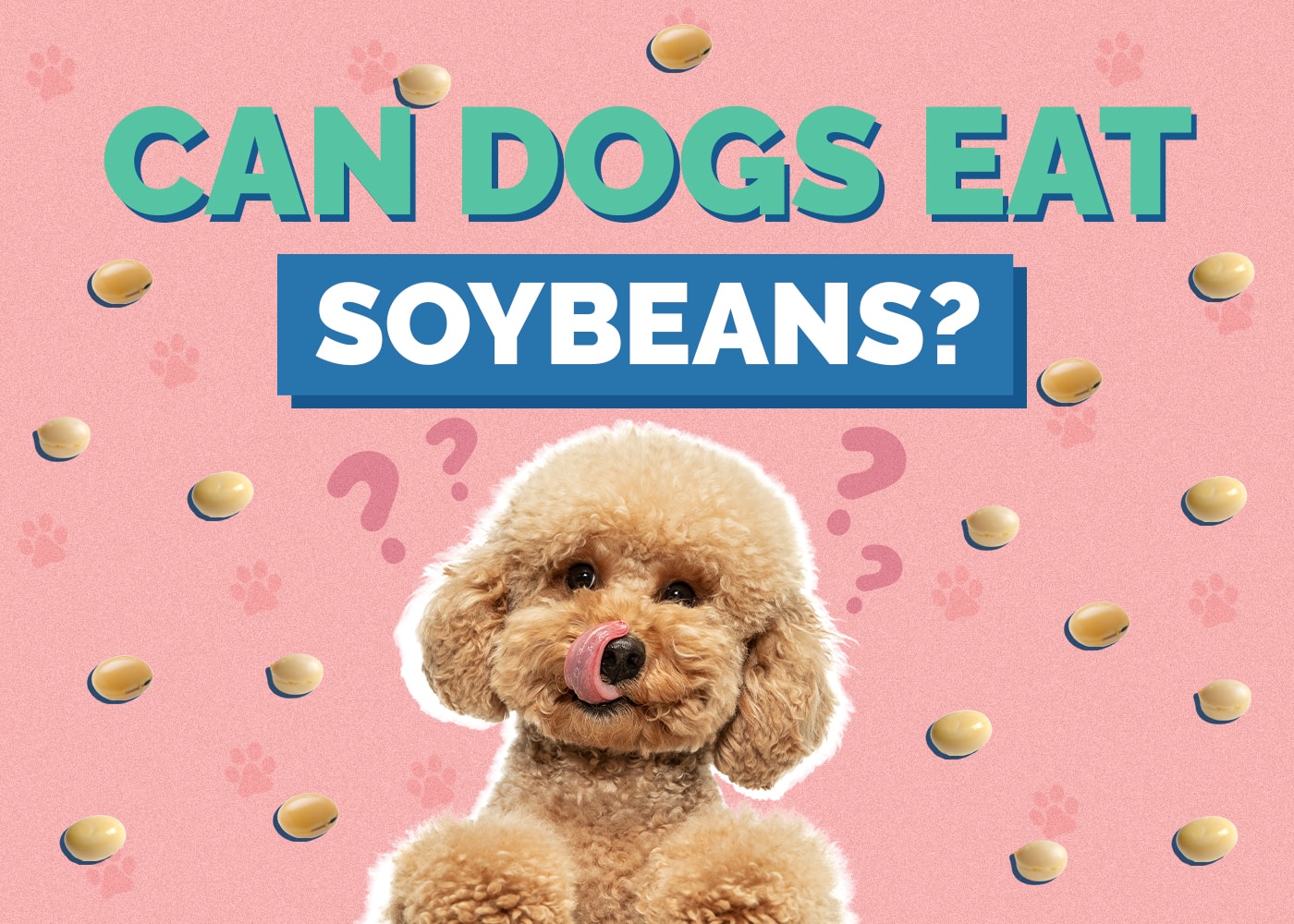 Can Dogs Eat Soybeans