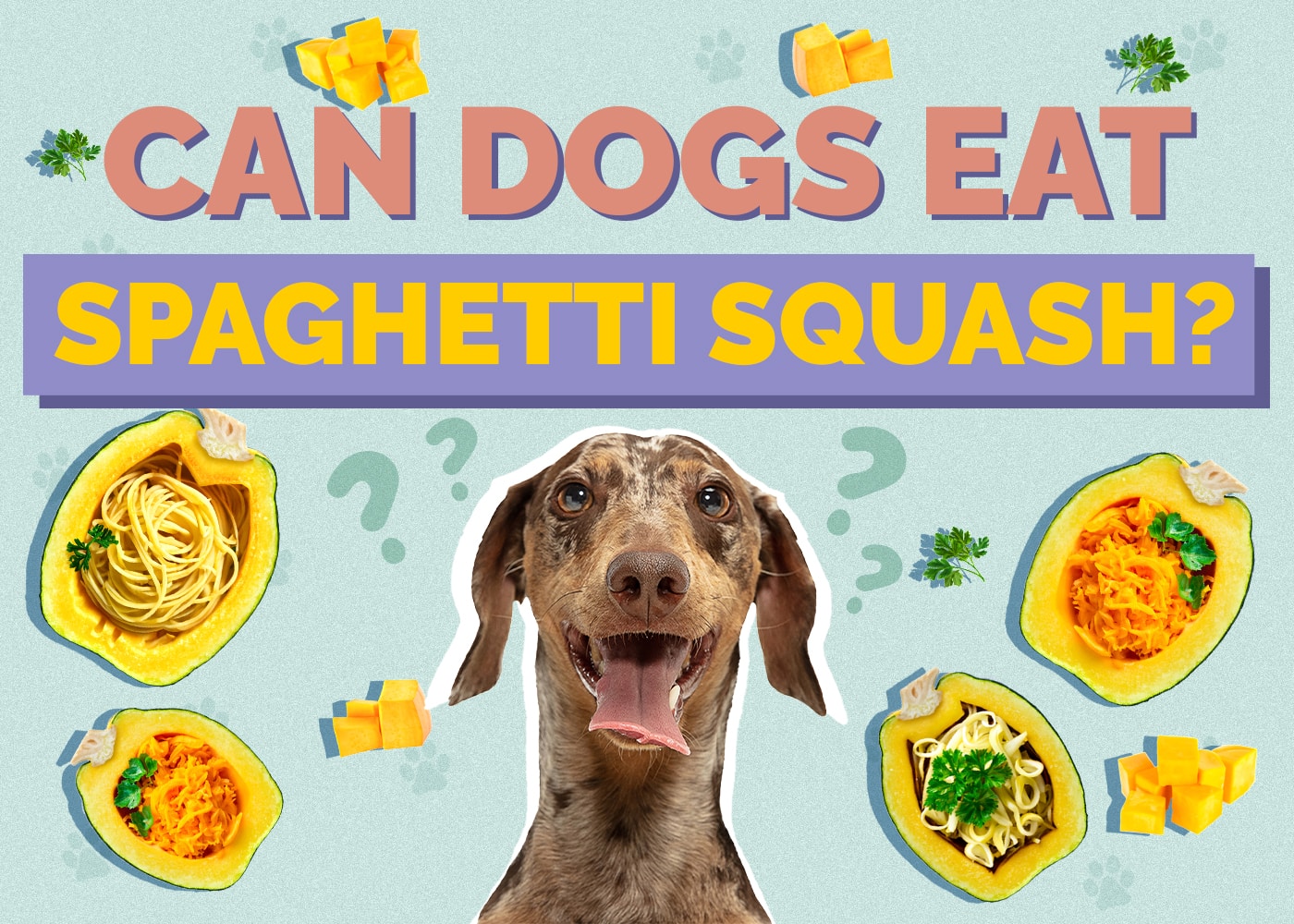 Can Dogs Eat Spaghetti Squash