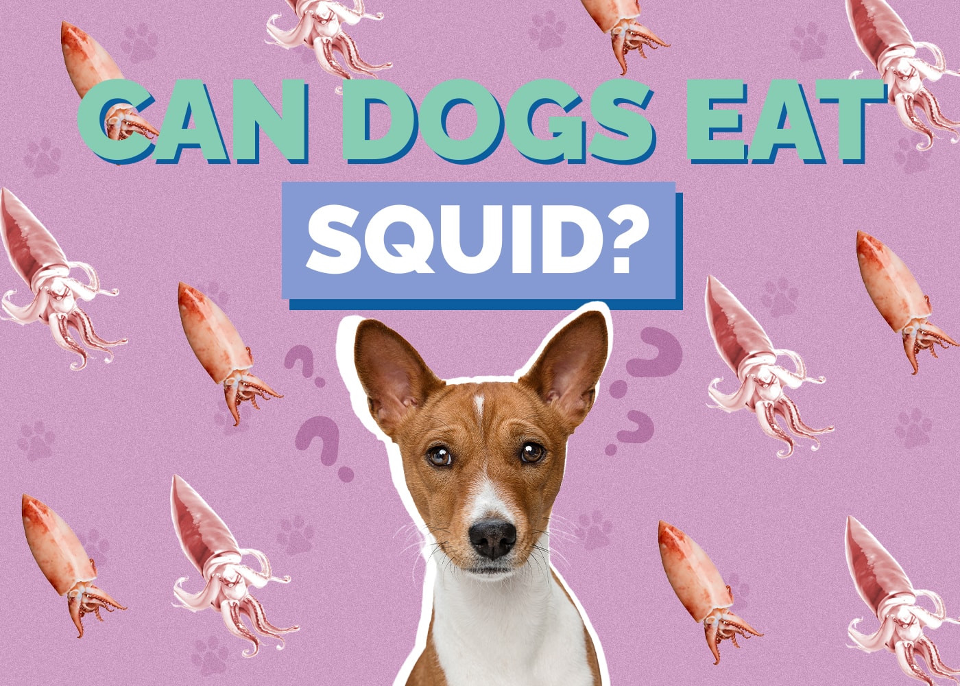 Can Dogs Eat Squid