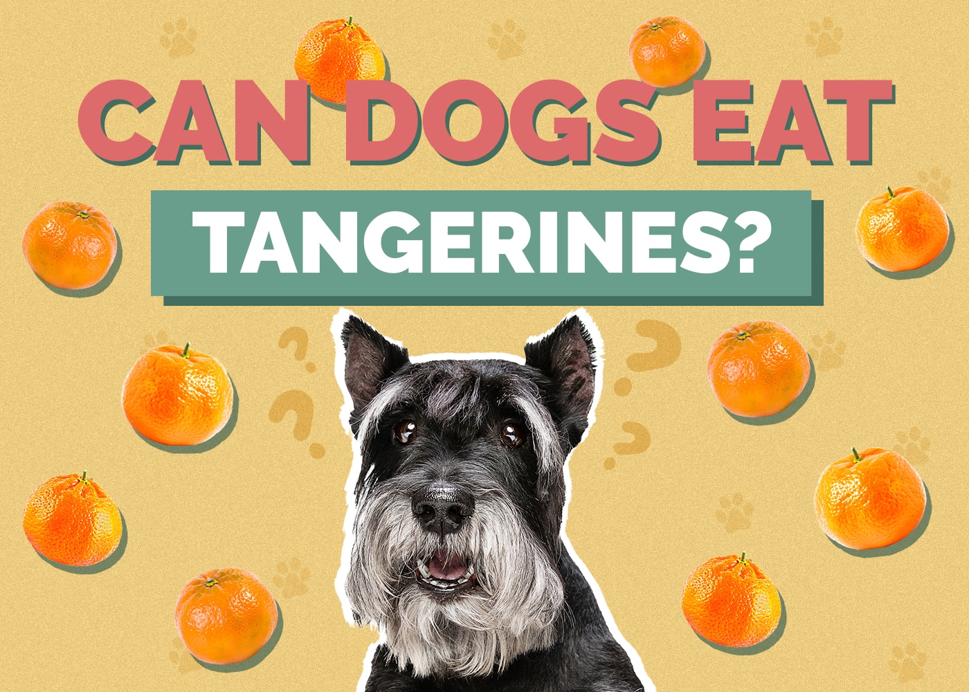 Can Dogs Eat Tangerines