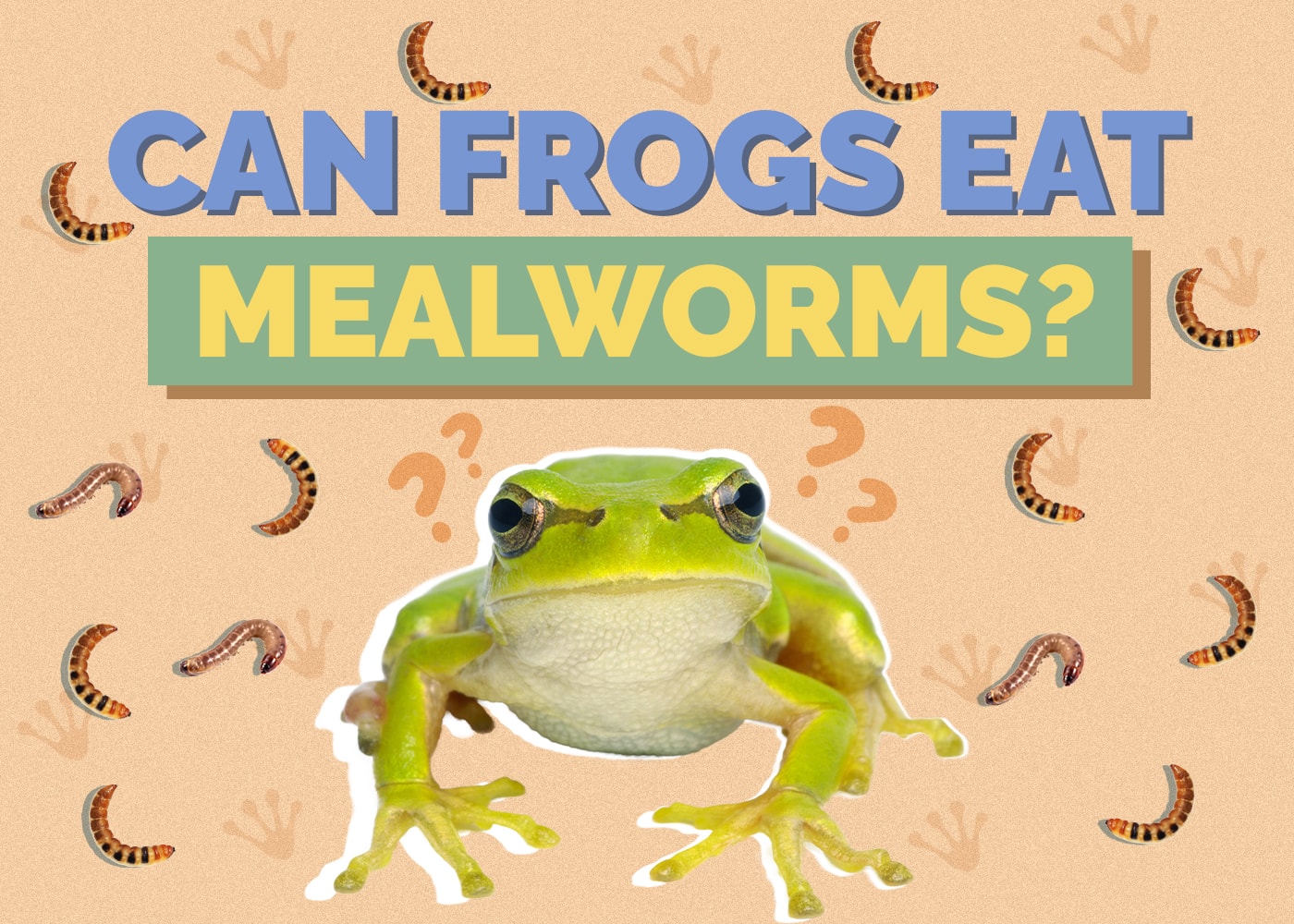 Can Frogs Eat Mealworms