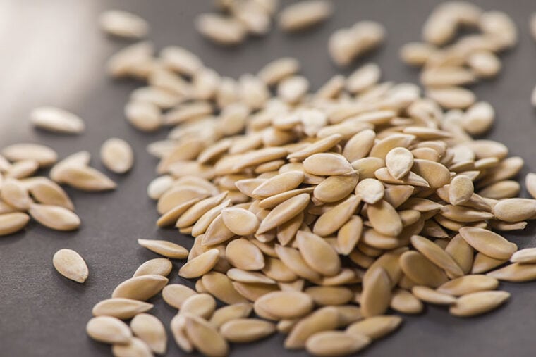 Can Hamsters Eat Cantaloupe? Vet Approved Facts & FAQ Hepper