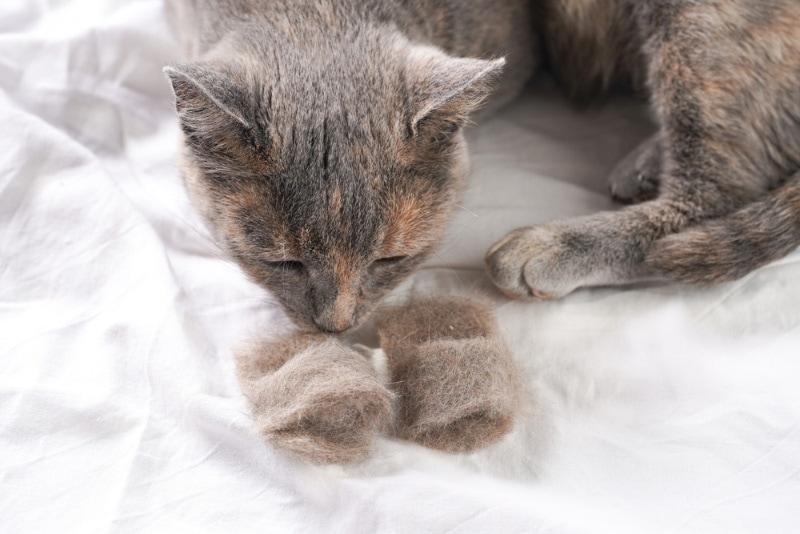 handcrafted slippers made of cat hair