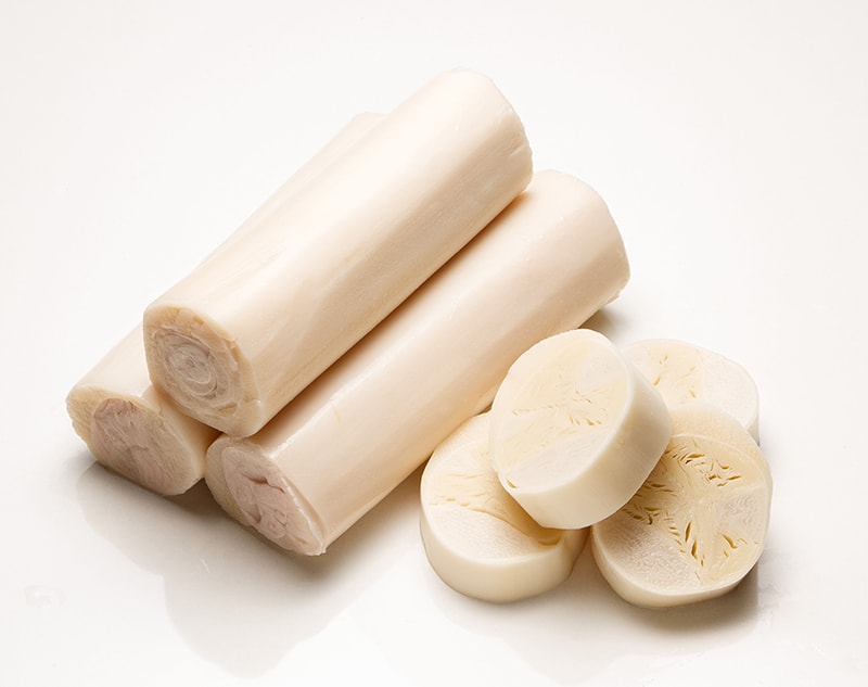 heart of palm or palmetto