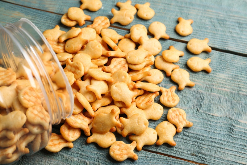 jar with goldfish crackers