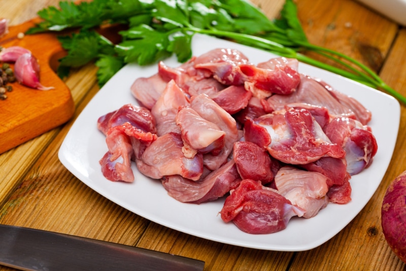 can-cats-eat-chicken-gizzards-vet-approved-facts-faq-hepper