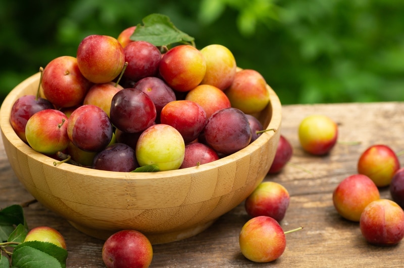 red plums in wooden bowl