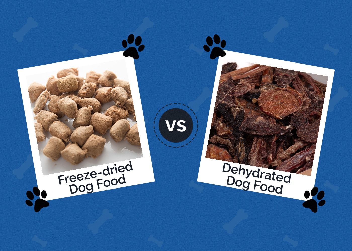 Freeze-dried vs Dehydrated Dog Food