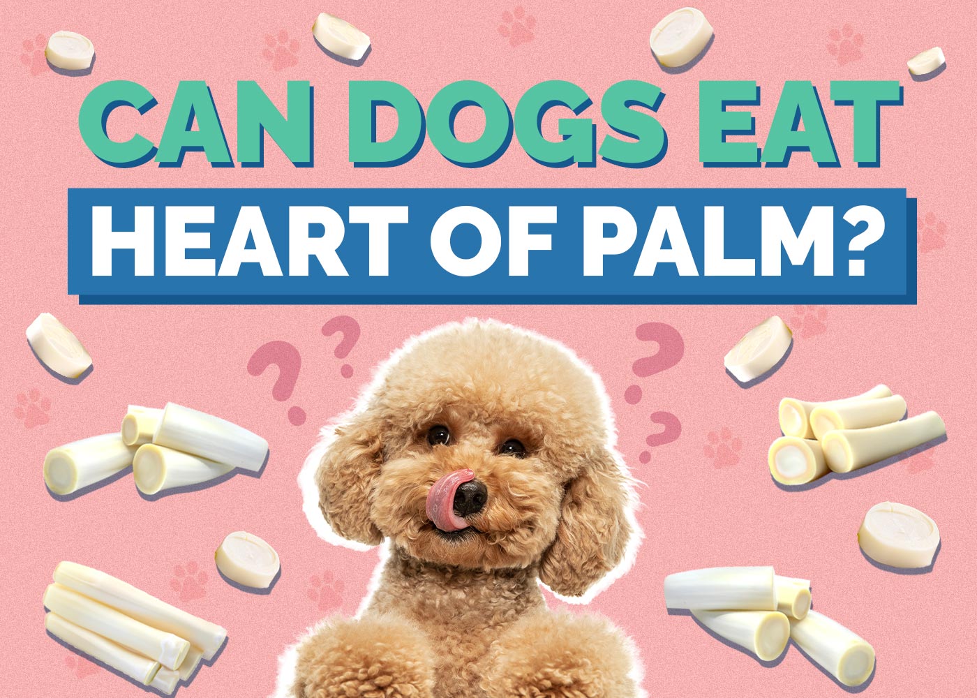 Can Dogs Eat Hearts of Palm
