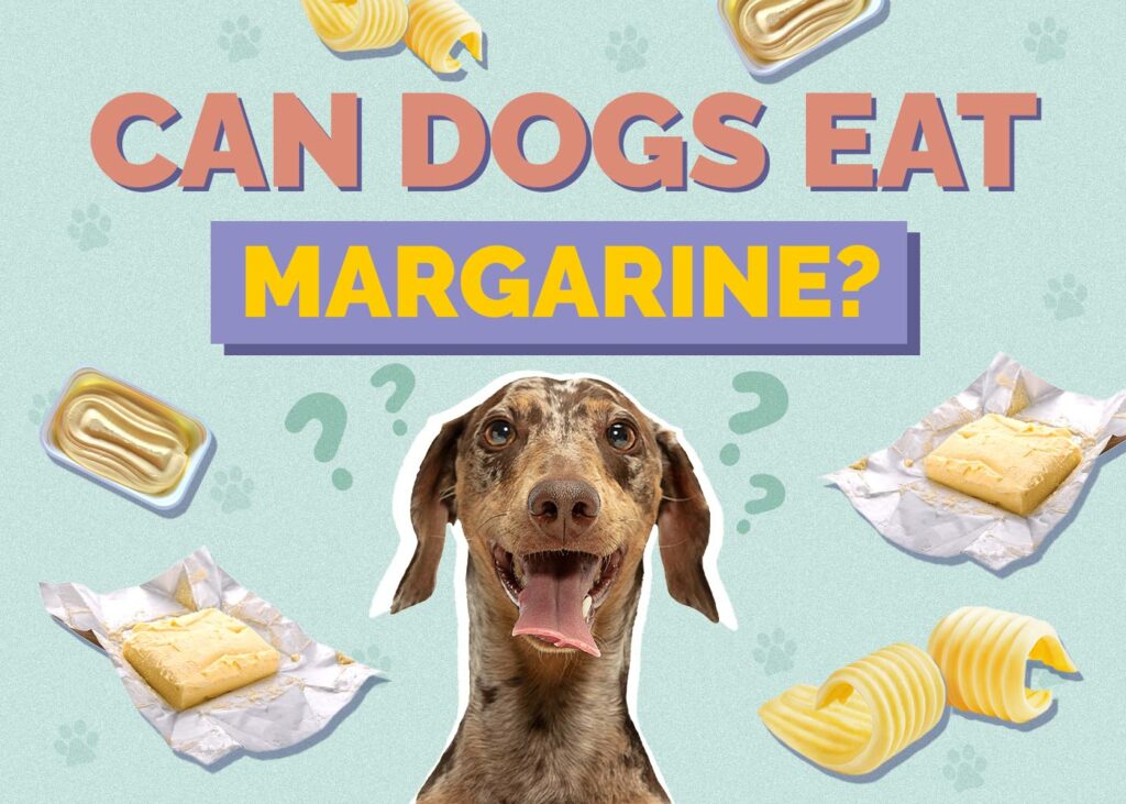 Can Dogs Eat Margarine