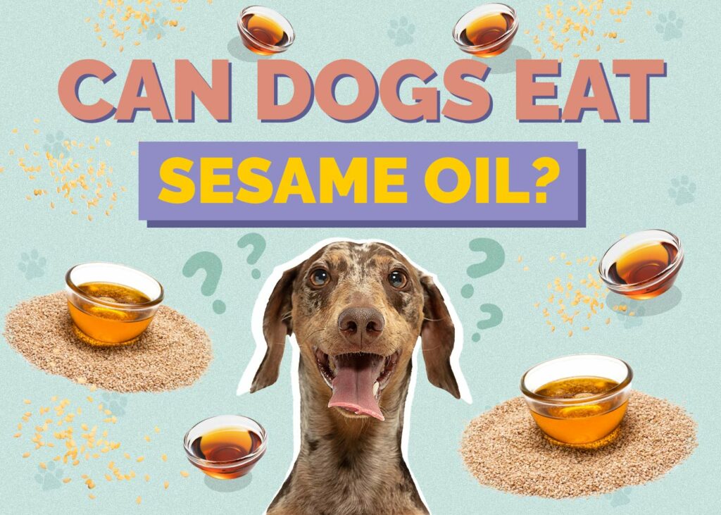 Can Dogs Eat Sesame Oil