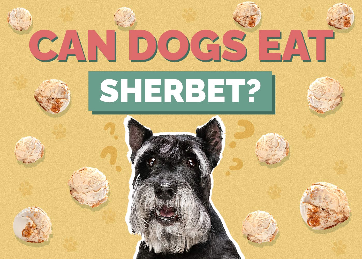 Can Dogs Eat Sherbet? VetReviewed Health Facts Hepper