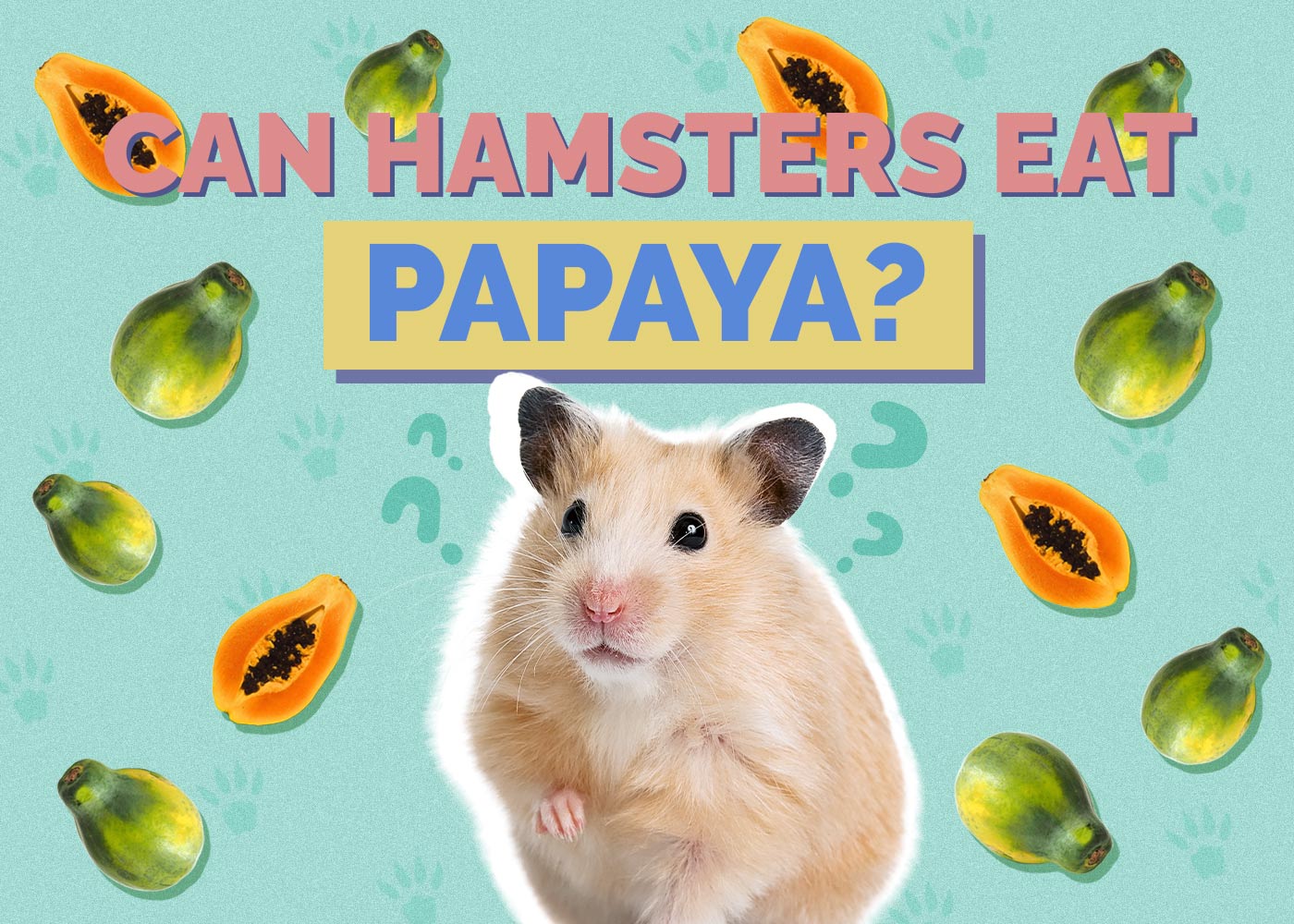 Can Hamsters Eat Papaya? Vet Approved Facts & FAQ Hepper