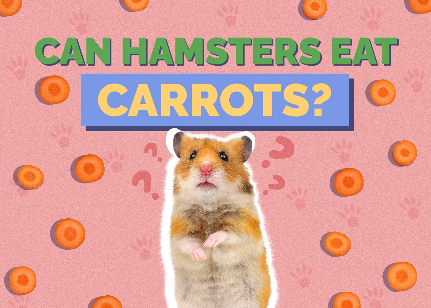 Can Hamsters Eat Carrots