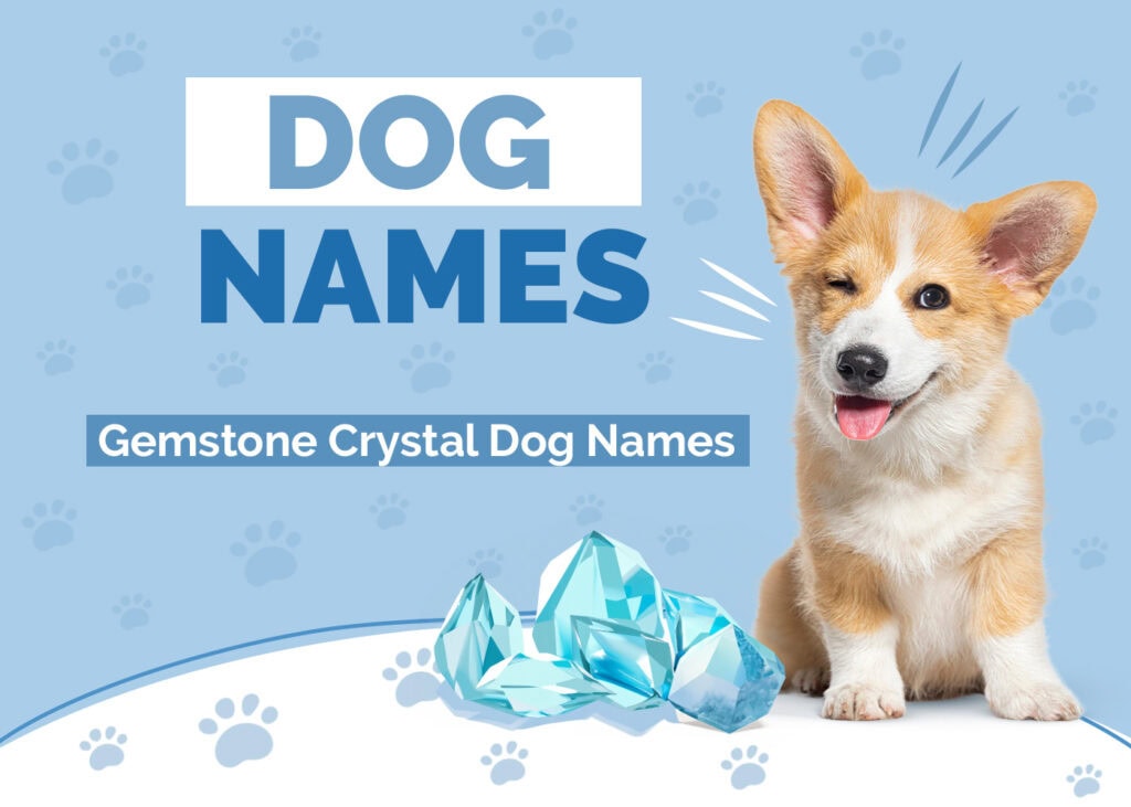 Gemstone & Crystal Names for Dogs
