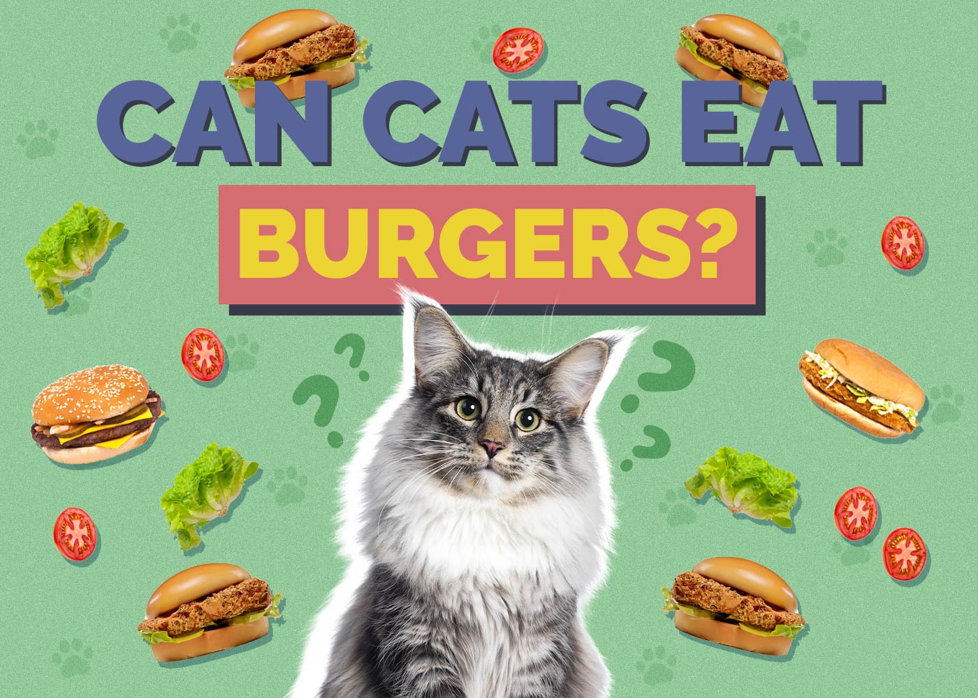 Can Cats Eat Burgers