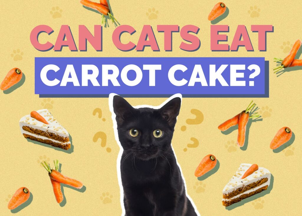 Can Cats Eat Carrot Cake