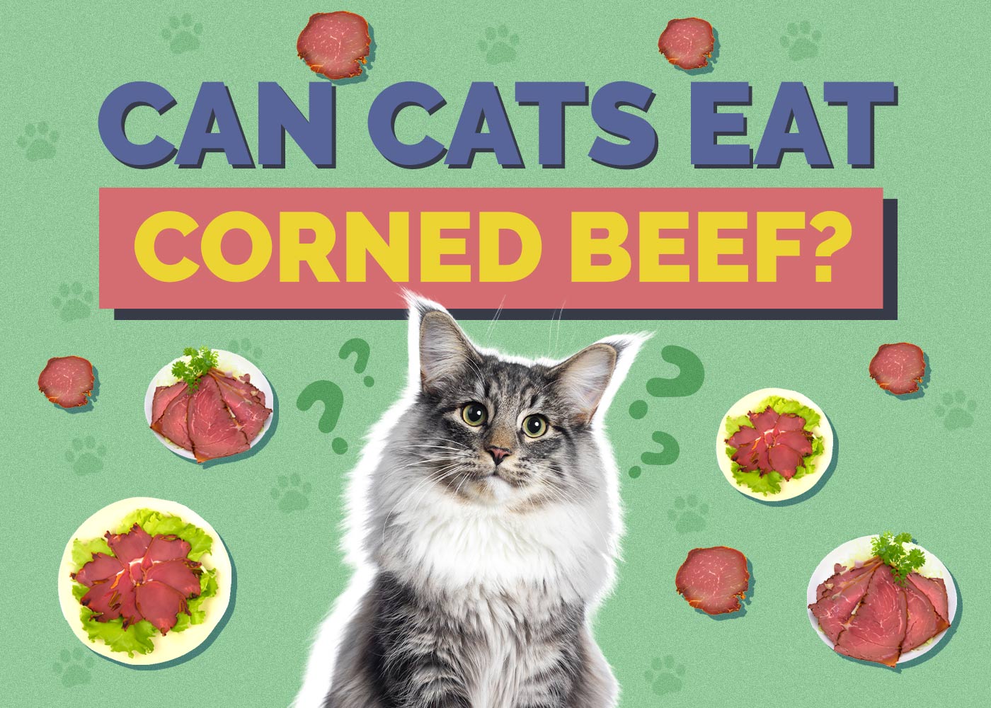 Can Cats Eat Corned Beef