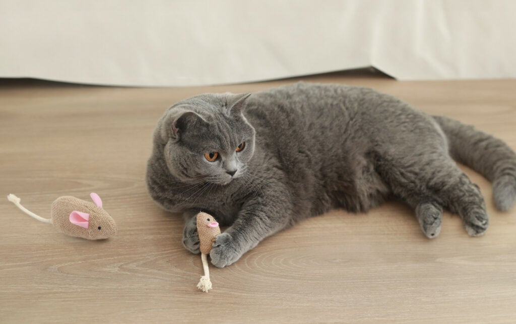 Hepper Catnip Mice Toy Set