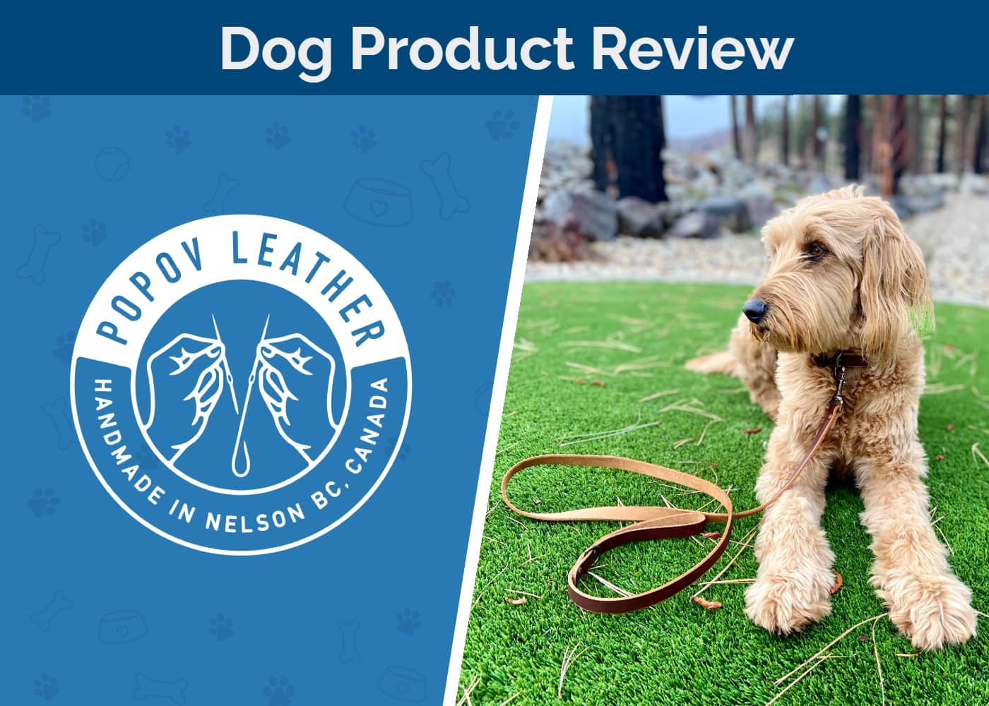 Popov Leather Dog Collar & Leash Review 2024 Our Expert’s Opinion Hepper