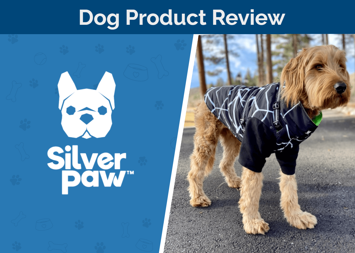 Hepper_SAPR_Silver Paw Fonda Jacket & Maximus Harness Review