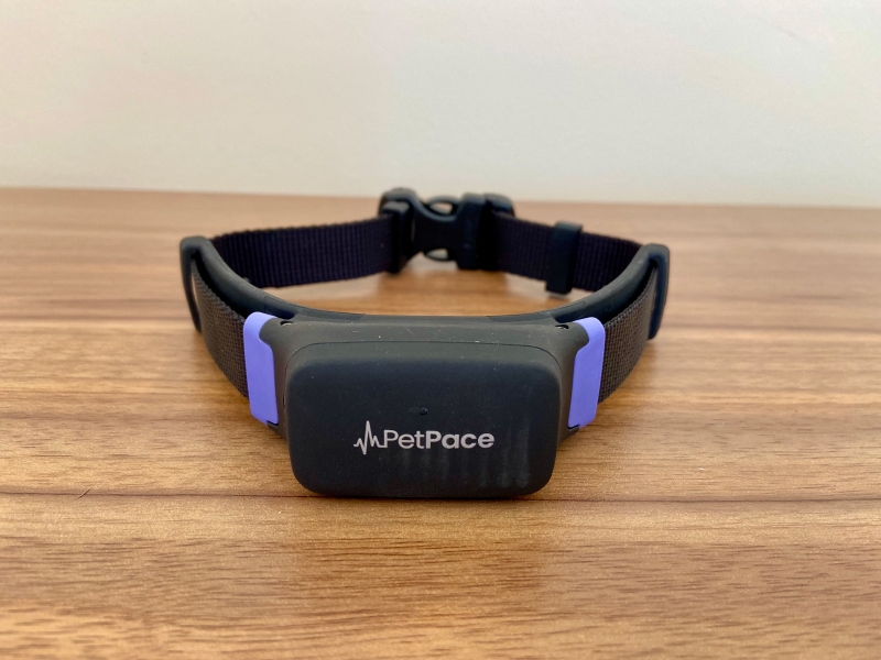 PetPace - smart collar front view