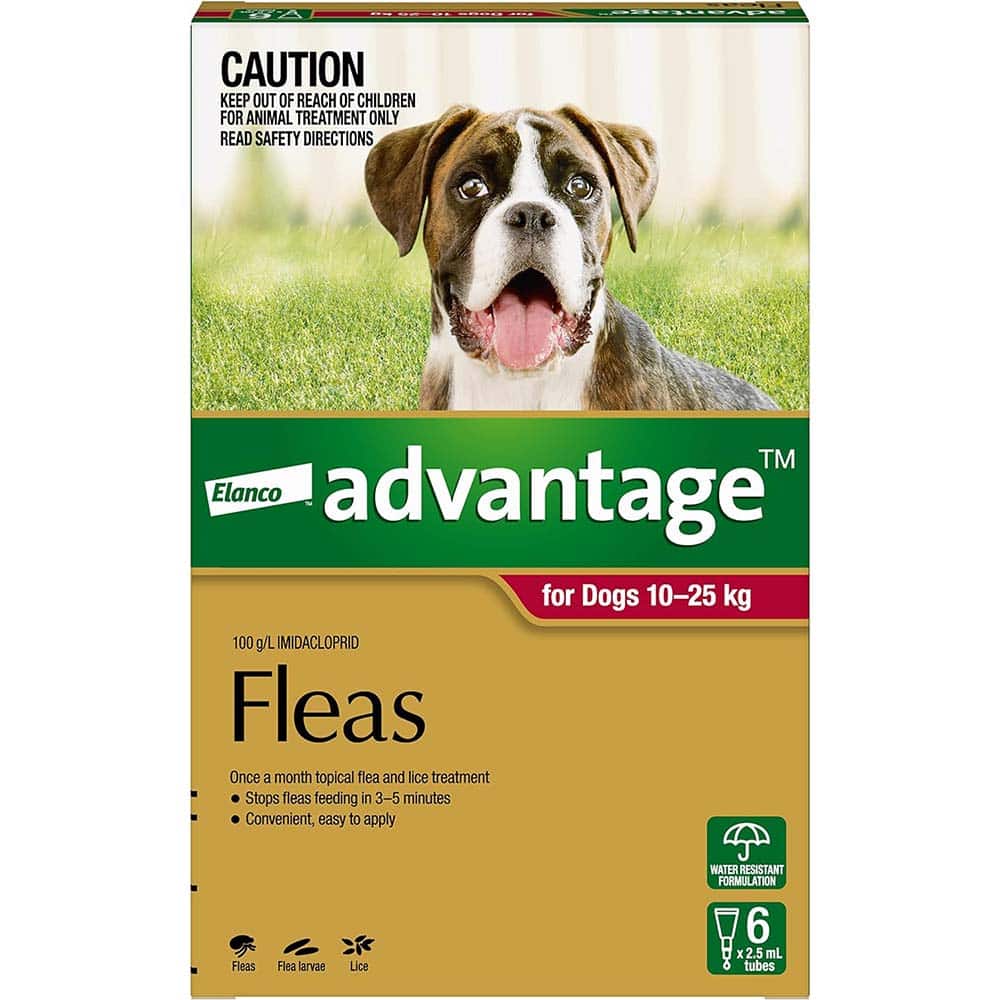 Advantage