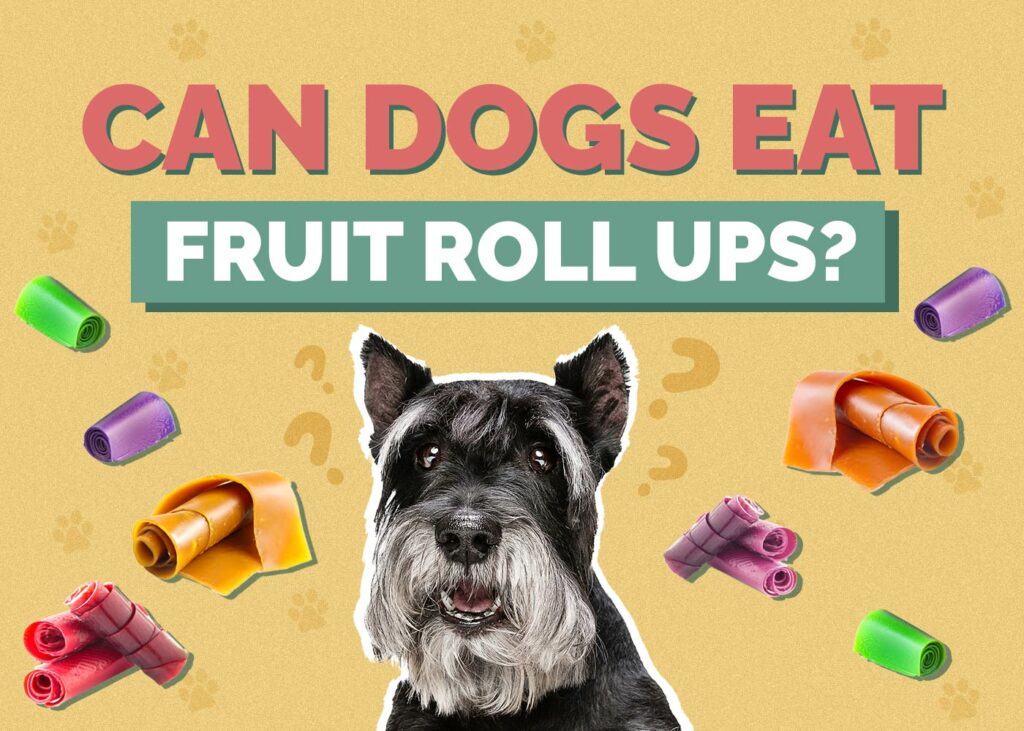 Can Dogs Eat Fruit Roll-Ups