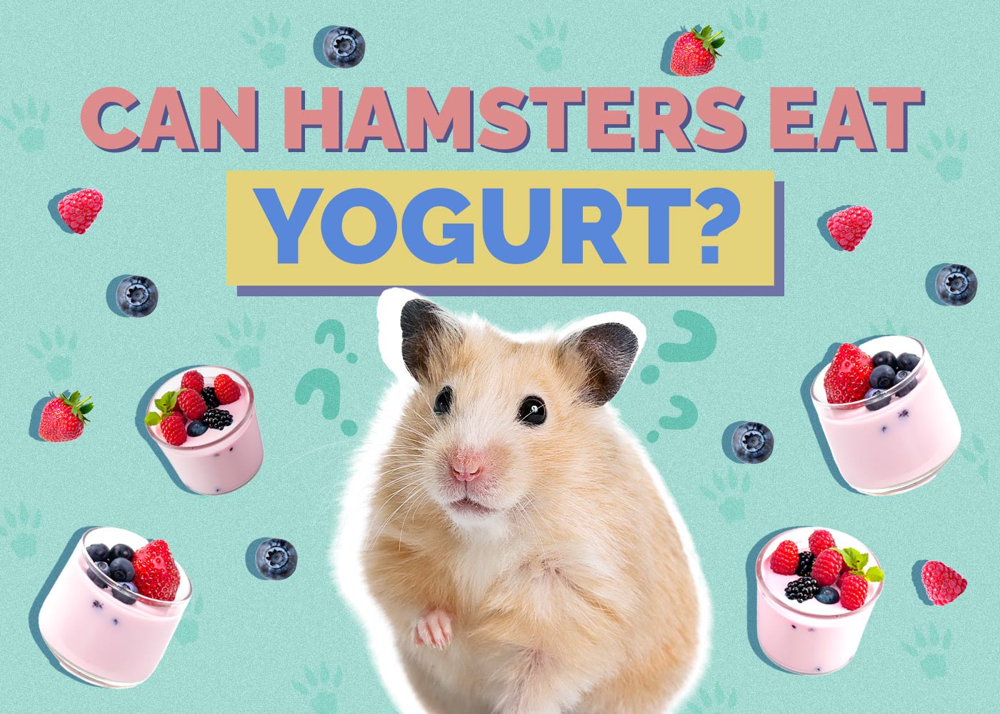 Can Hamsters Eat Yogurt? VetApproved Health Facts Hepper
