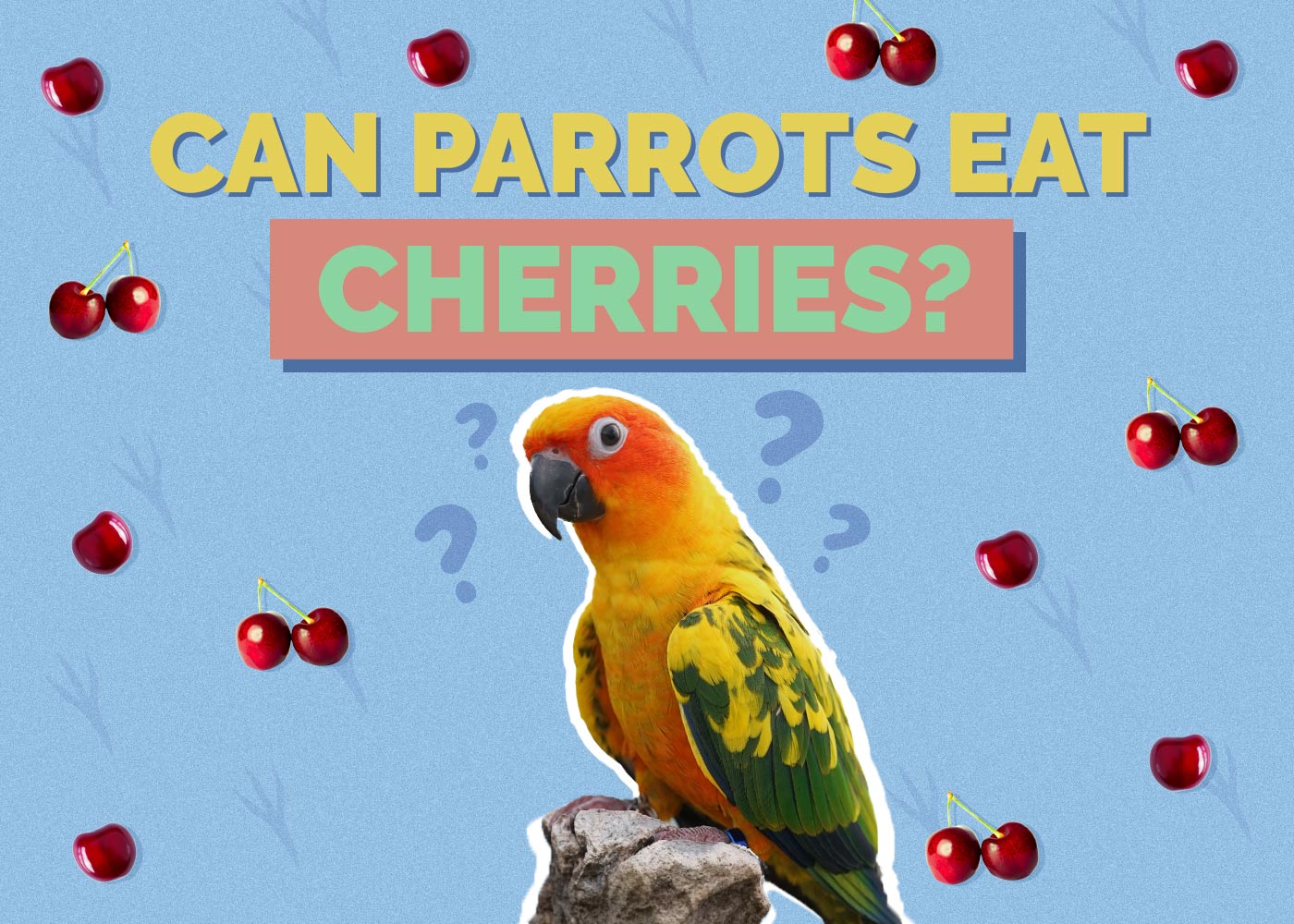 Can Parrots Have Cherries? Discover the Shocking Truth!
