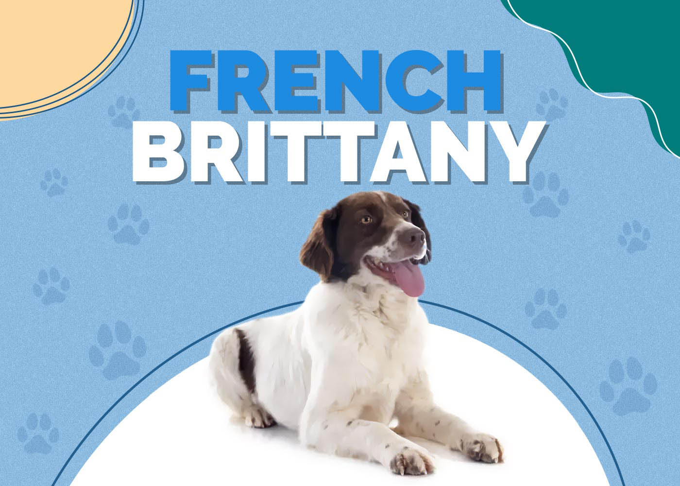French Brittany