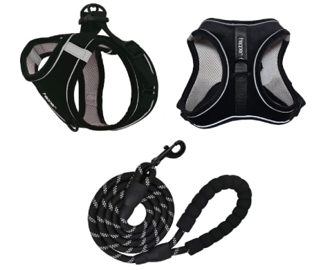 Hepper Harness and Leash Set
