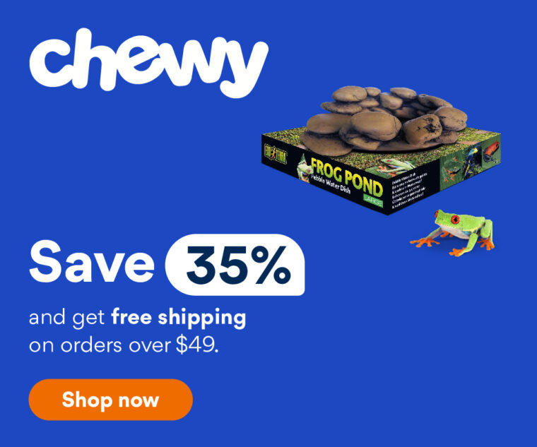 Do Frogs Give You Warts? Myths vs Facts & FAQs | Hepper