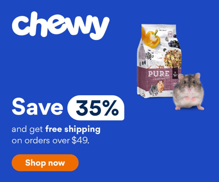 Why Do Hamsters Die So Easily? 15 Causes of Sudden Death Hepper